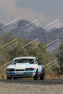 media/Oct-12-2025-Lucky Dog Racing (Sun) [[8adb5568ea]]/3-Third    Stint/1-Turn 7/